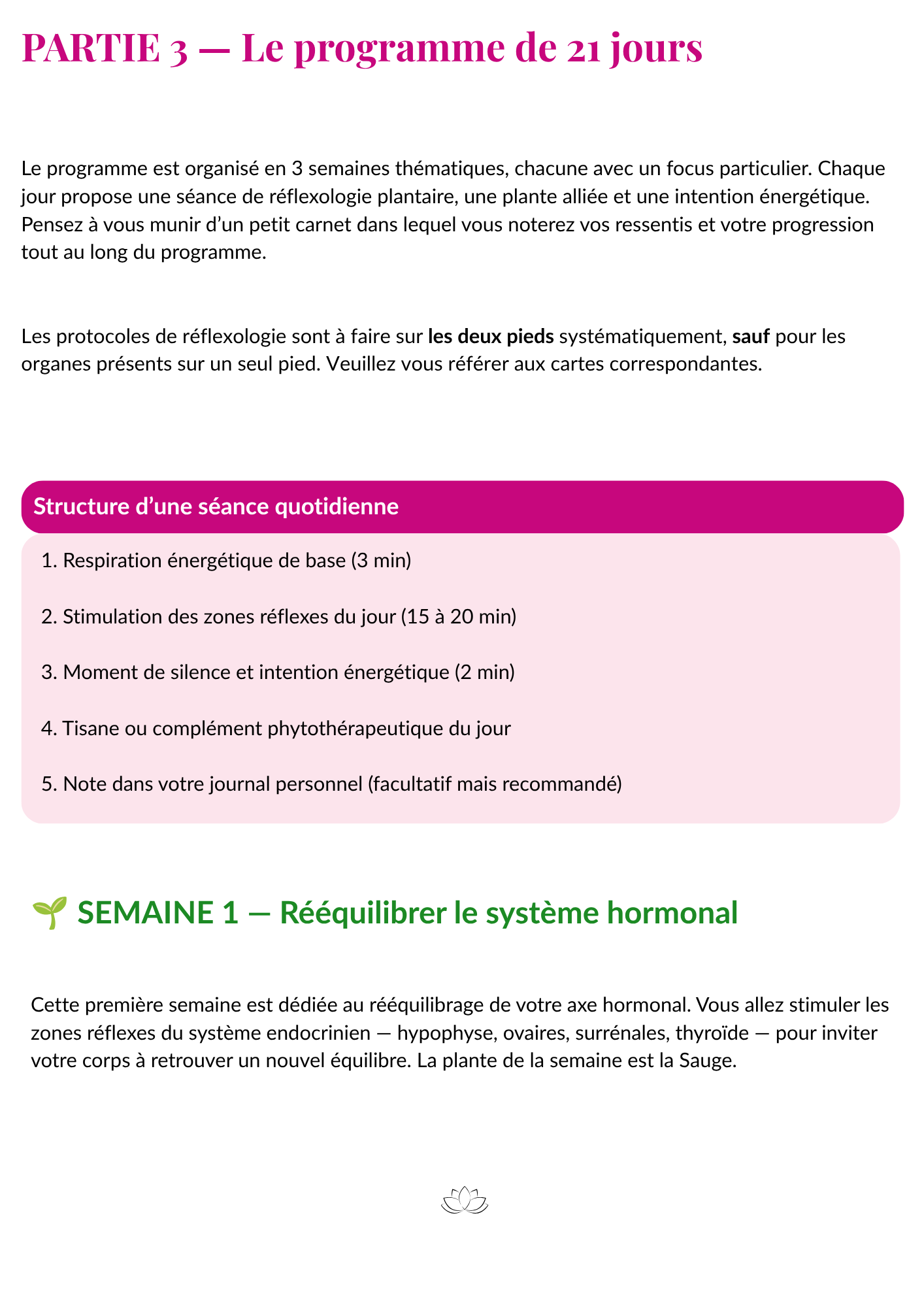 Traverser la ménopause en douceur — Programme de 21 jours par la réflexologie – Image 5